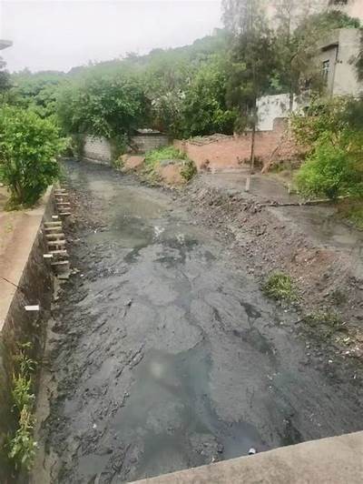 文武砂水库的建设背景与生态保护措施检视